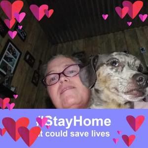 Meet your Posher, Terri